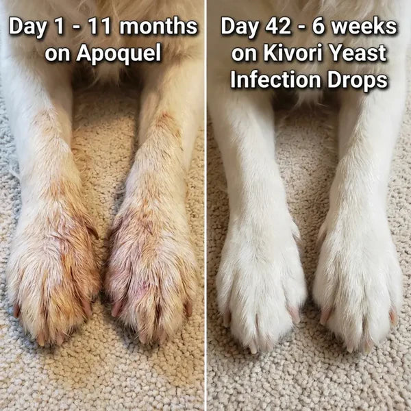 PawFlora™ Yeast Infection Drops for Dogs